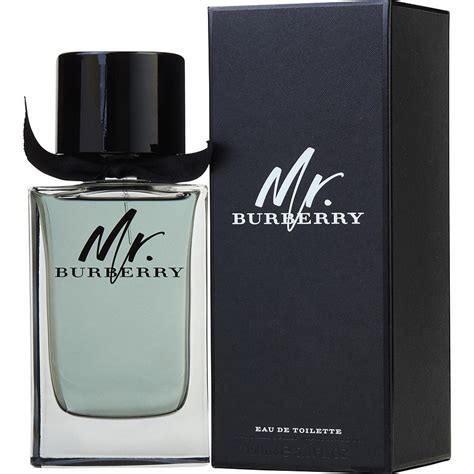 mr burberry eau de parfum uk|mr Burberry perfume review.